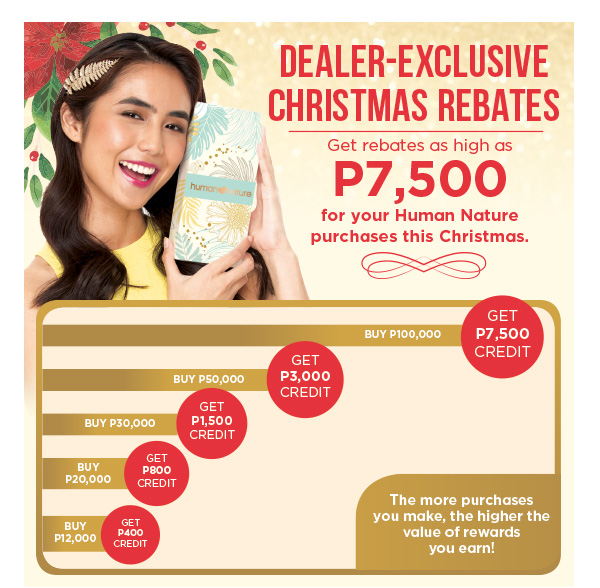 Dealer-Exclusive Christmas Rebates