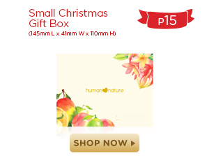 Small Christmas Box