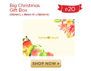 Big Christmas Box