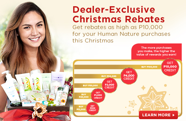 Christmas Rebates