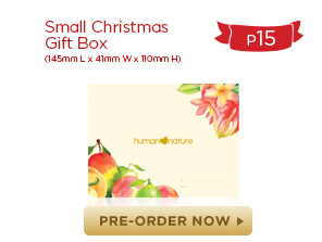 Small Christmas Box