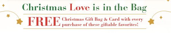Christmas Love is in the Bag