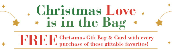 Christmas Love is in the Bag
