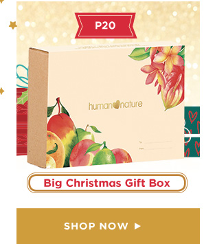 Big Christmas Gift Box