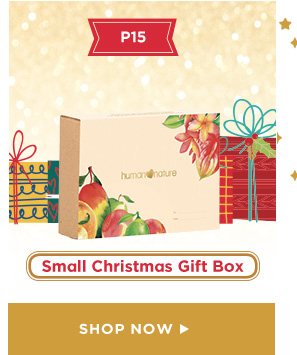 Small Christmas Gift Box