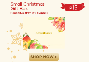 Small Christmas Box
