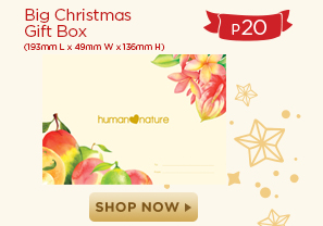 Big Christmas Box