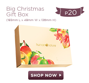 Big Christmas Box
